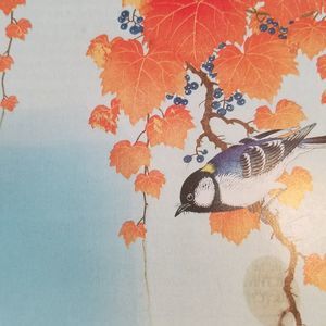 Meet your Posher, Bobette anne